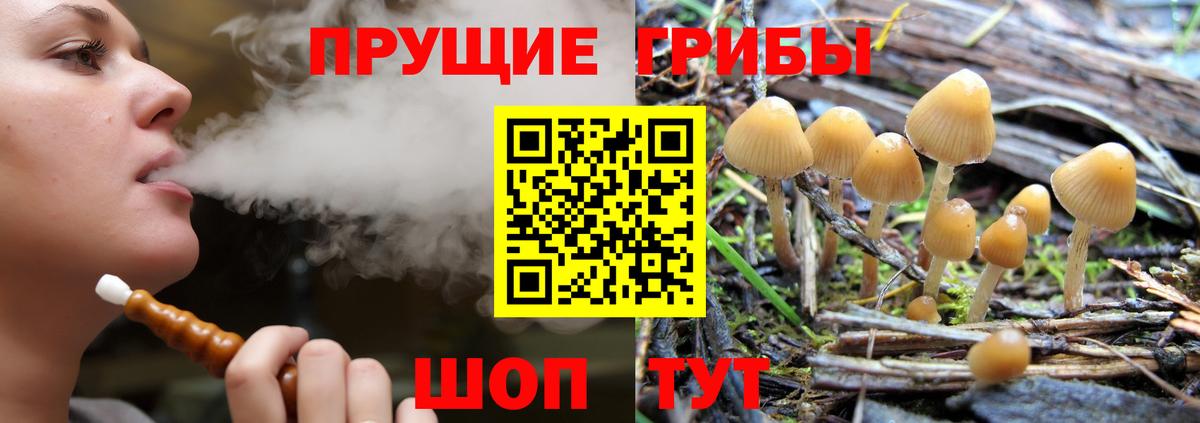 Железноводск  Галлюциногенные грибы ЛСД  Вход с VPN 
